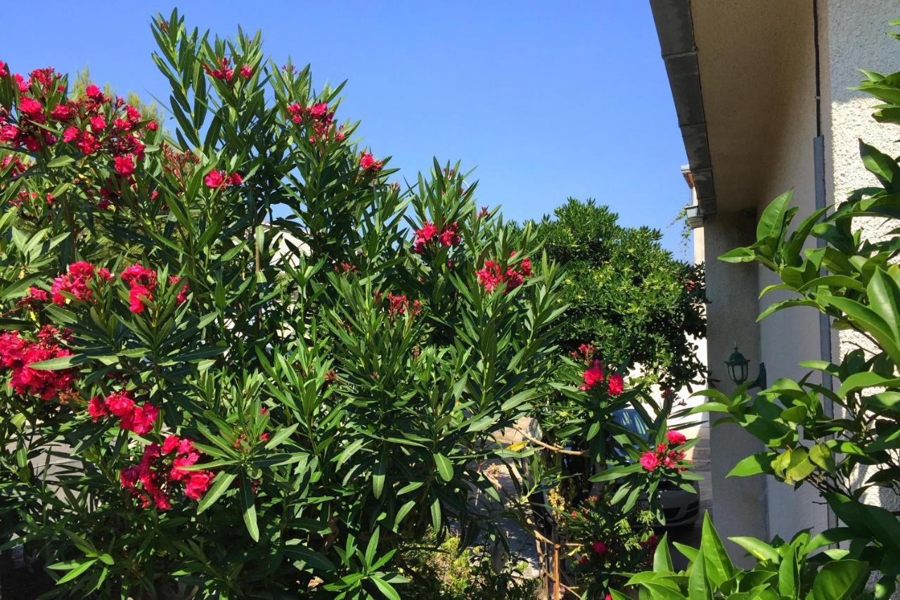 Apartments By The Sea Orebic, Peljesac - 11450 Ngoại thất bức ảnh
